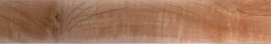sample cross section of blackbutt