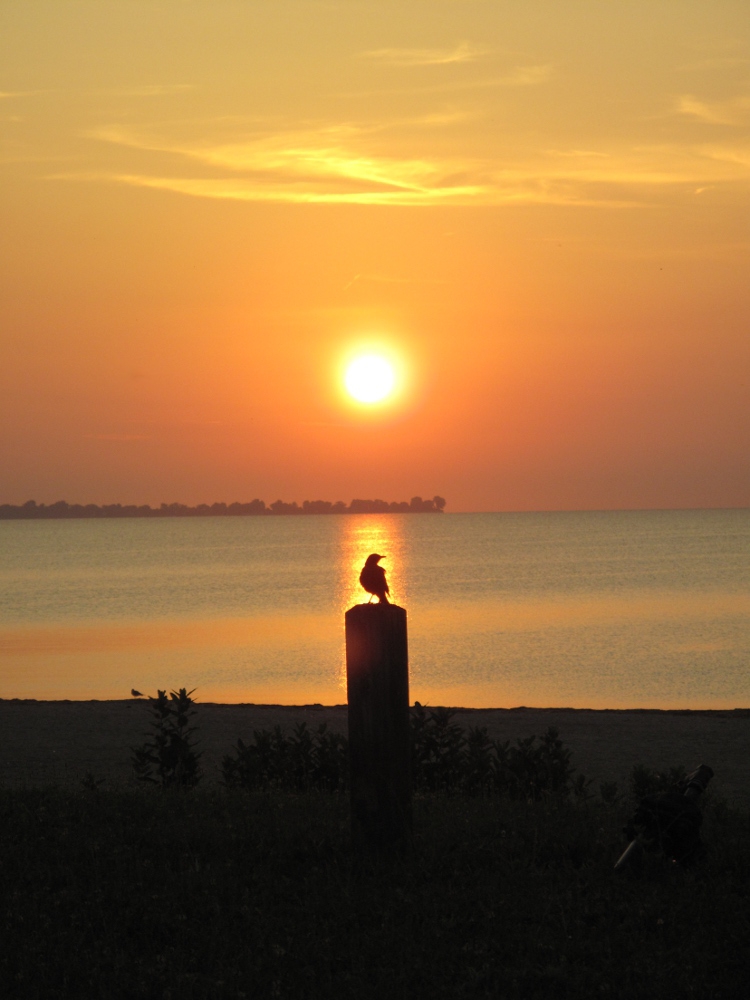 Sunrise on Lake Erie