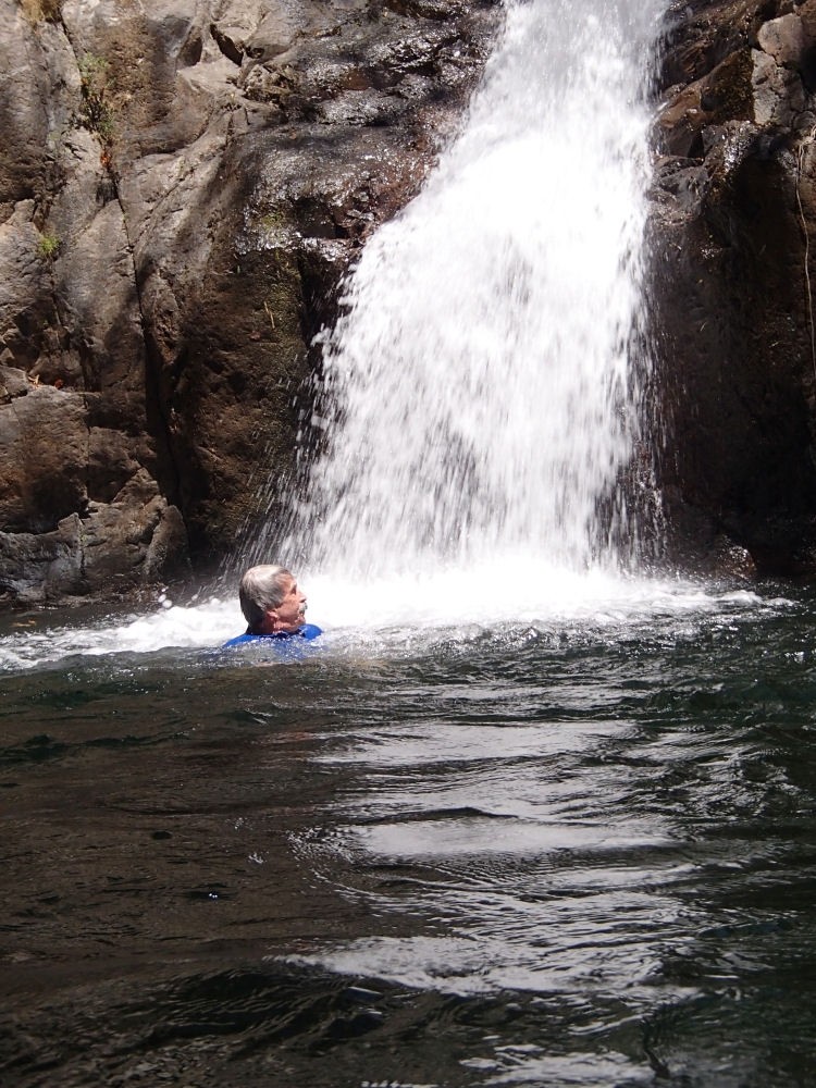 A prehistoric creature surfaces under the rushing waterfall.