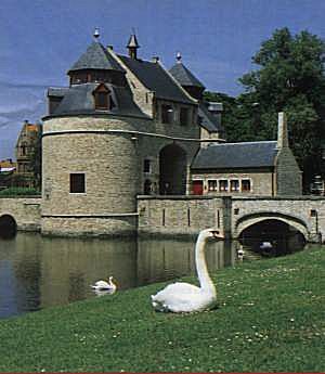 swan.jpg