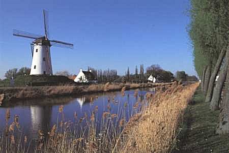 windmill.jpg