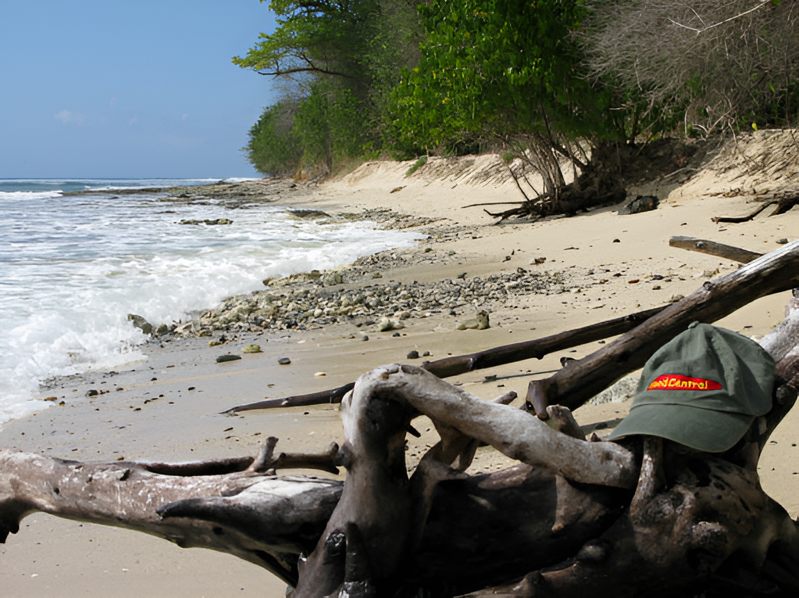 beachhat803246867530cc8150_jpg_774.png