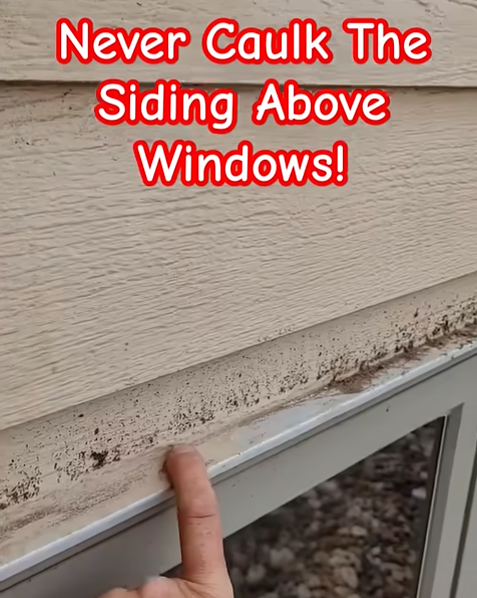 caulk-windows_843.png