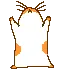 gerbil_891.webp
