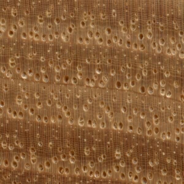 wood-2601a_992.jpg