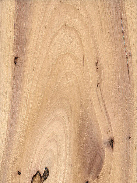 wood-2601b_991.jpg