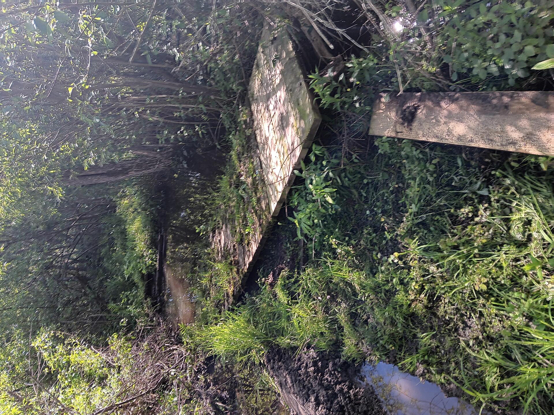 20260526_092313_1106.jpg