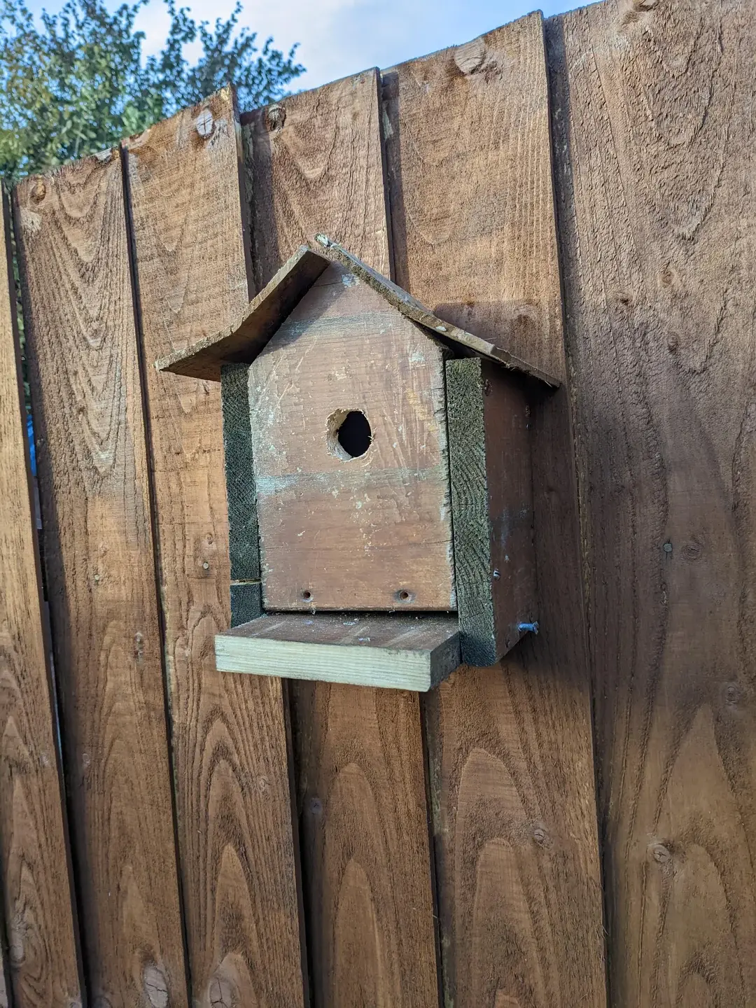 birdhouse_1118.webp