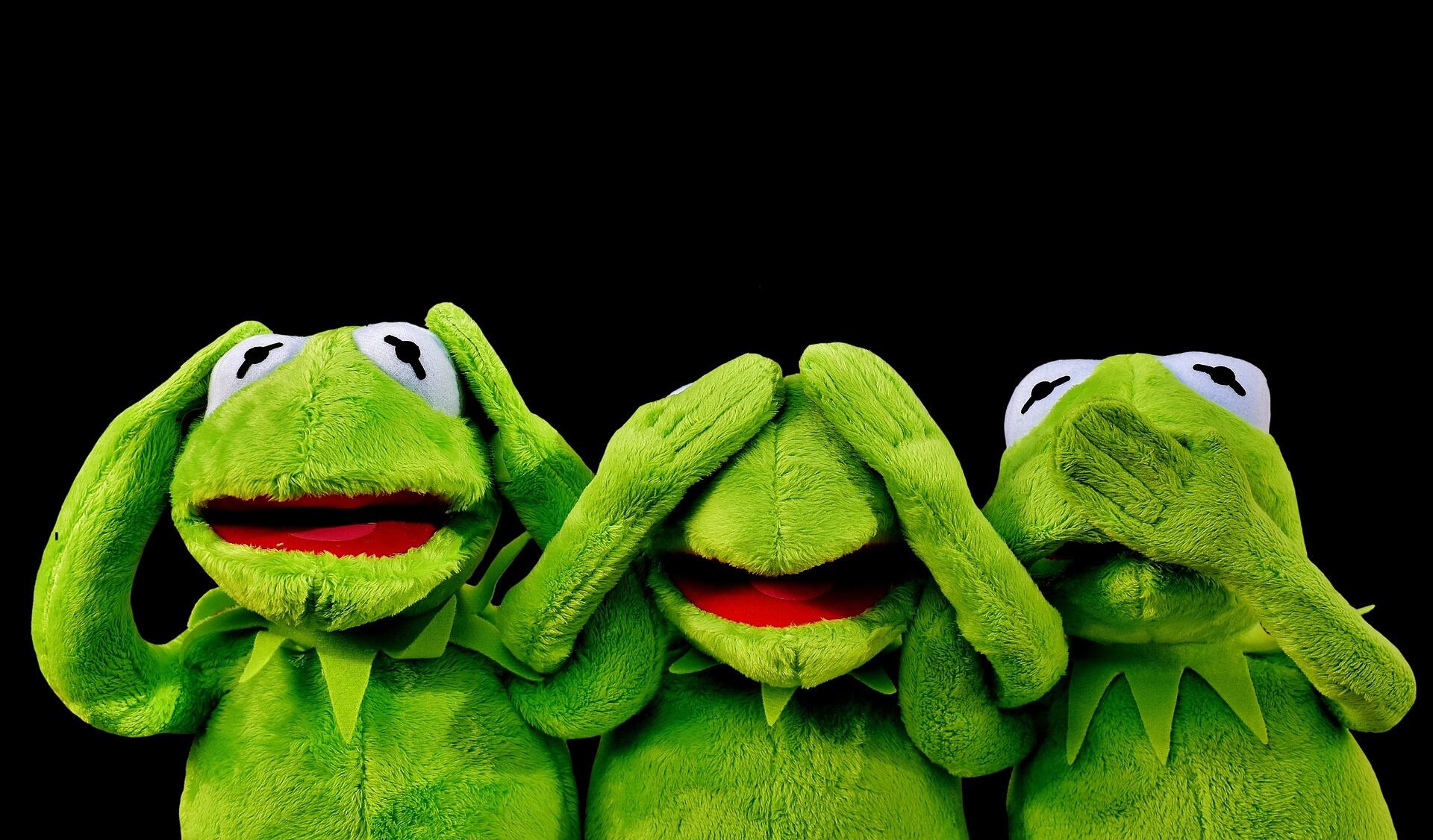 alexas_fotos-kermit-2687975_1920_1160.jpg