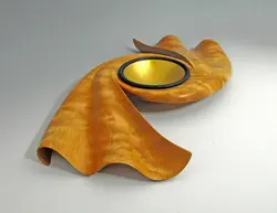 website-image