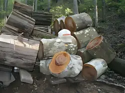 logpile
