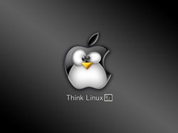 S7YGFhS-linux-tux-wallpaper